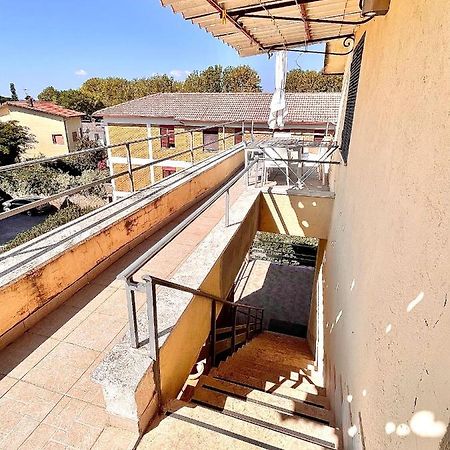 Garden House Apartment Болсена Екстериор снимка